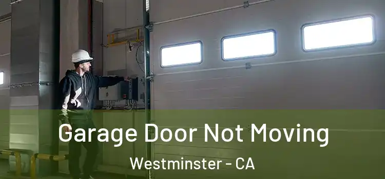  Garage Door Not Moving Westminster - CA