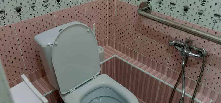 Meeting Diverse Needs With Accessible Restroom Solutions in Westminster, CA